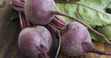 5 Reasons why you should include Beetroot in your daily diet today-by live love laugh