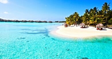 5 Stunning blue water beaches in India to visit. by live love laugh
