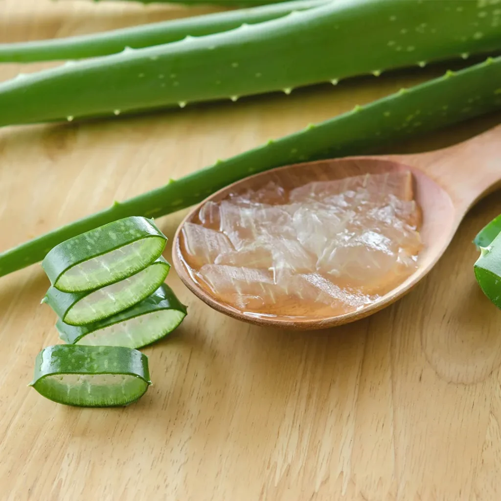 Aloe vera gel.-8 Summer Essentials to keep your skin as cucumber cool.-By Live Love Laugh
